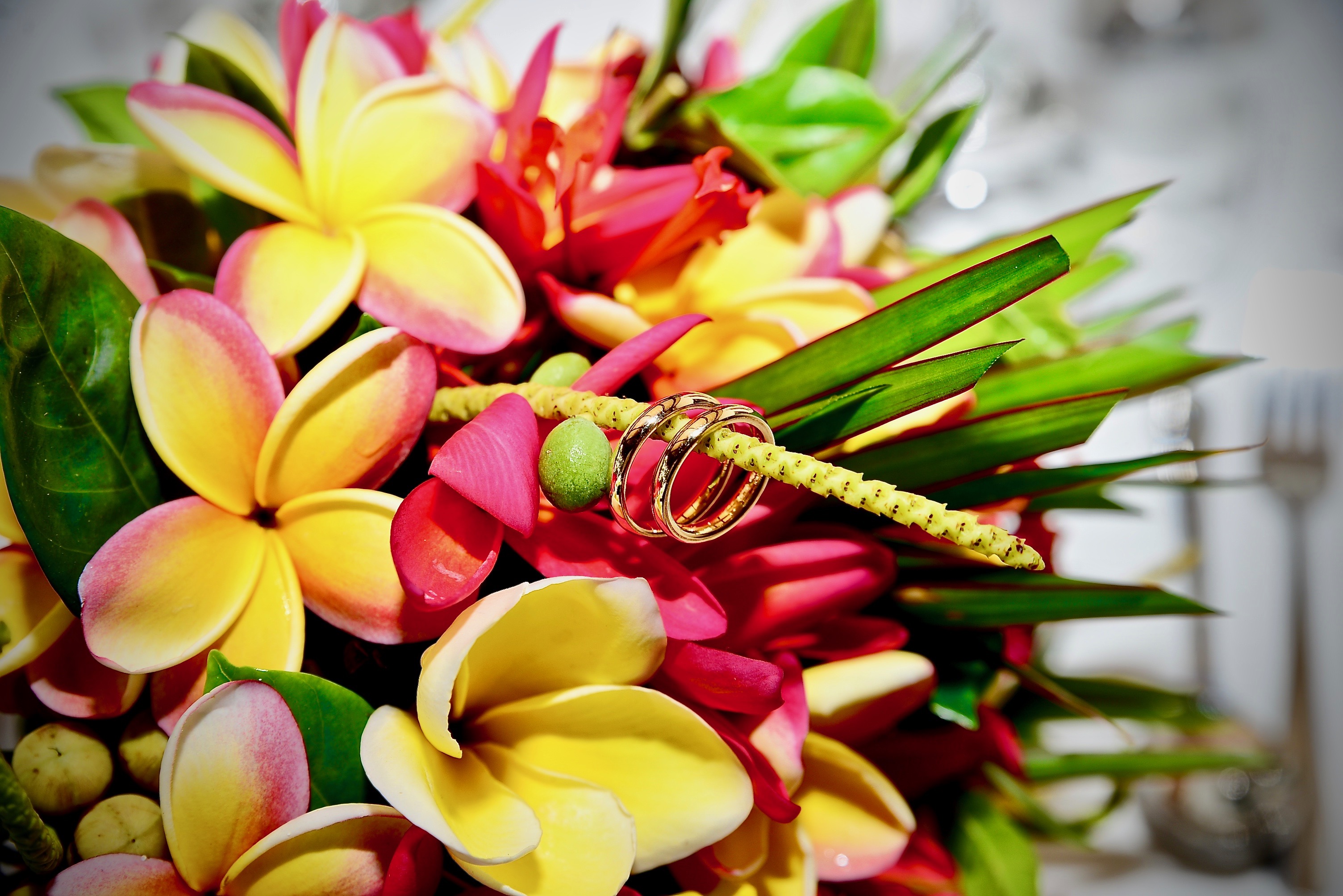 2025 - 2026 Wedding Kit