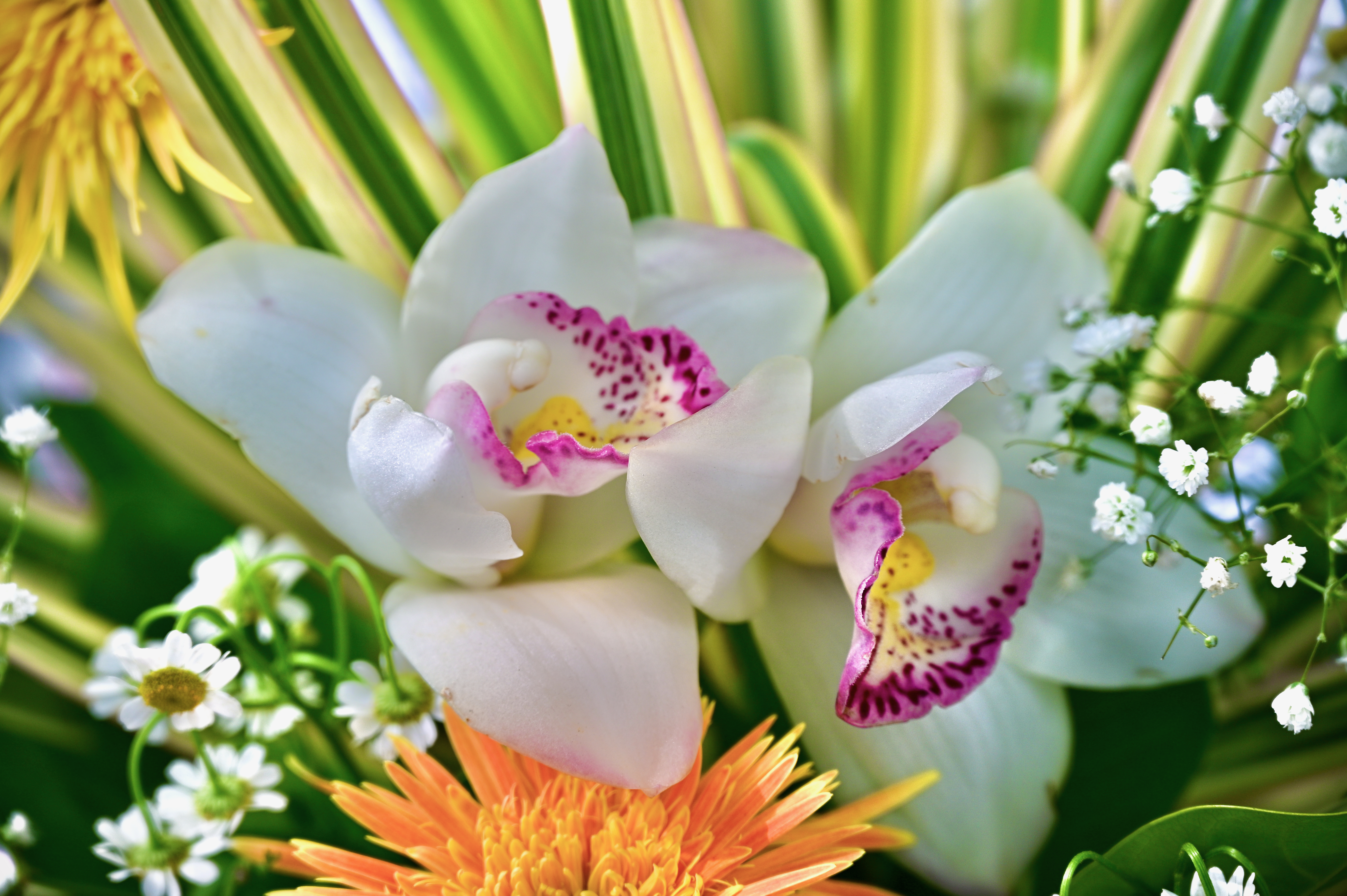Renewal of Vows Package